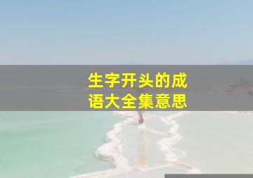 生字开头的成语大全集意思