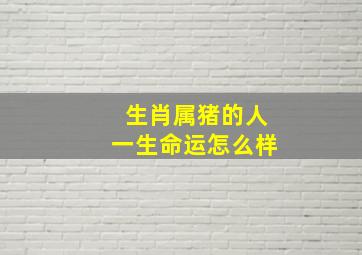 生肖属猪的人一生命运怎么样