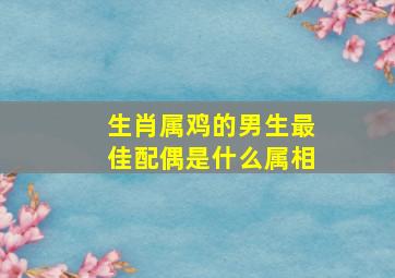 生肖属鸡的男生最佳配偶是什么属相