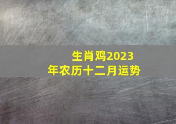 生肖鸡2023年农历十二月运势