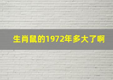 生肖鼠的1972年多大了啊