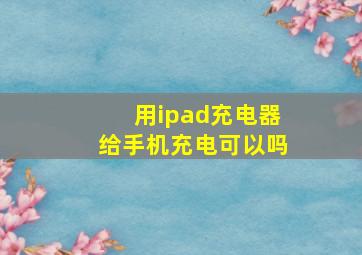 用ipad充电器给手机充电可以吗