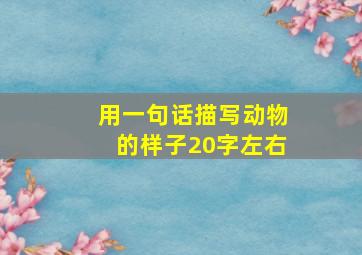 用一句话描写动物的样子20字左右