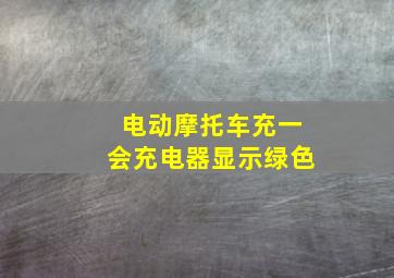 电动摩托车充一会充电器显示绿色