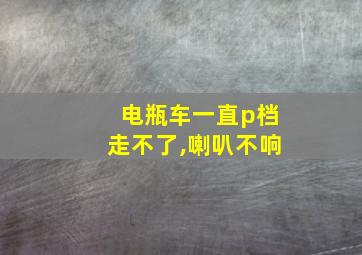 电瓶车一直p档走不了,喇叭不响