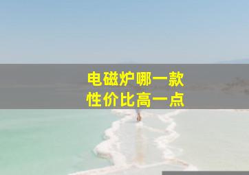 电磁炉哪一款性价比高一点