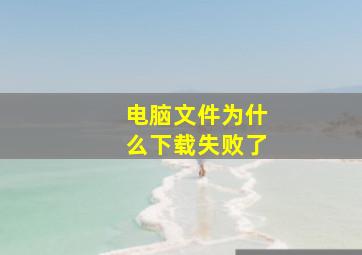 电脑文件为什么下载失败了