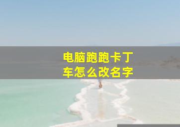 电脑跑跑卡丁车怎么改名字