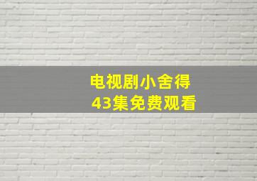 电视剧小舍得43集免费观看