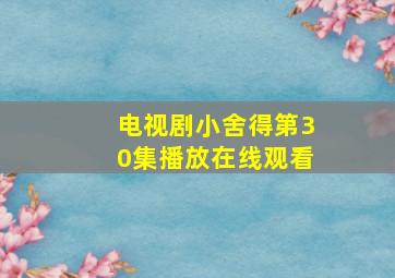 电视剧小舍得第30集播放在线观看