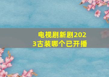 电视剧新剧2023古装哪个已开播