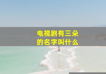 电视剧有三朵的名字叫什么