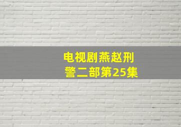 电视剧燕赵刑警二部第25集