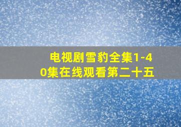 电视剧雪豹全集1-40集在线观看第二十五