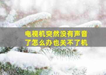 电视机突然没有声音了怎么办也关不了机