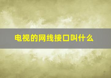 电视的网线接口叫什么