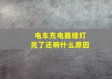 电车充电器绿灯亮了还响什么原因