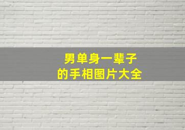 男单身一辈子的手相图片大全