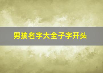 男孩名字大全子字开头