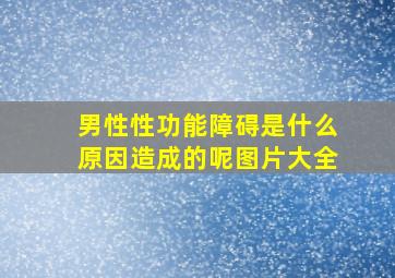 男性性功能障碍是什么原因造成的呢图片大全