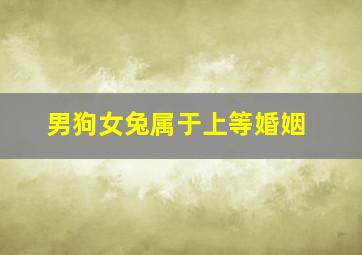 男狗女兔属于上等婚姻