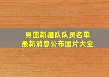 男篮新疆队队员名单最新消息公布图片大全