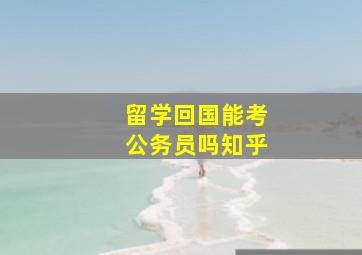 留学回国能考公务员吗知乎