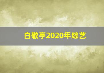 白敬亭2020年综艺