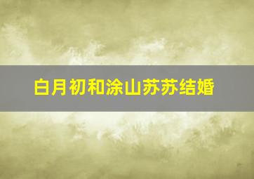 白月初和涂山苏苏结婚