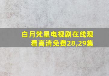 白月梵星电视剧在线观看高清免费28,29集