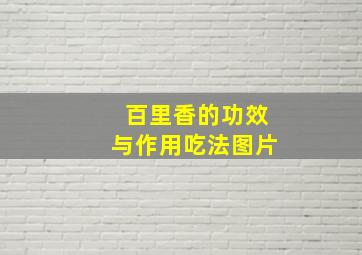 百里香的功效与作用吃法图片