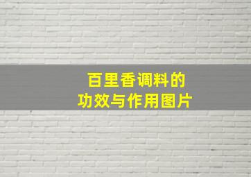 百里香调料的功效与作用图片