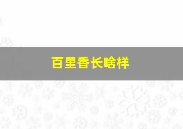 百里香长啥样