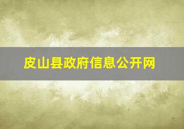 皮山县政府信息公开网