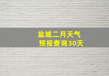 盐城二月天气预报查询30天