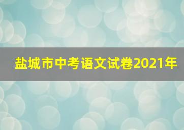 盐城市中考语文试卷2021年