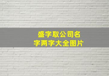 盛字取公司名字两字大全图片