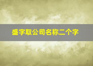 盛字取公司名称二个字