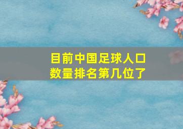 目前中国足球人口数量排名第几位了