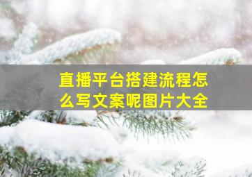 直播平台搭建流程怎么写文案呢图片大全