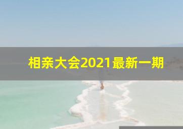 相亲大会2021最新一期