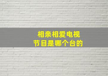 相亲相爱电视节目是哪个台的