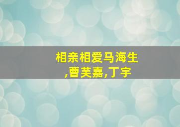 相亲相爱马海生,曹芙嘉,丁宇