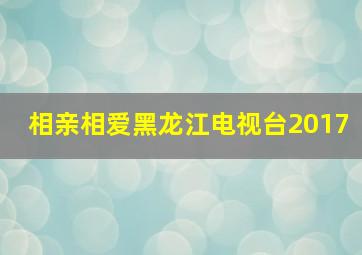 相亲相爱黑龙江电视台2017