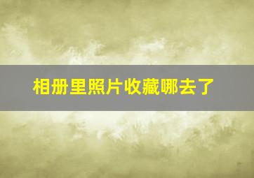 相册里照片收藏哪去了