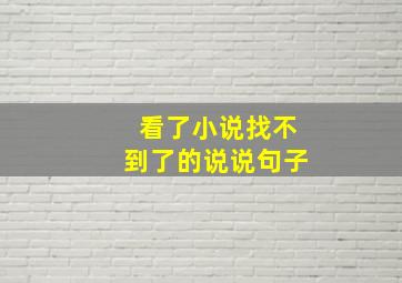 看了小说找不到了的说说句子