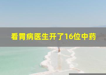 看胃病医生开了16位中药