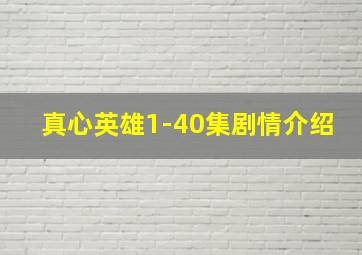 真心英雄1-40集剧情介绍