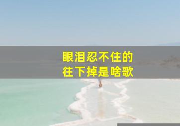 眼泪忍不住的往下掉是啥歌