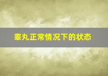 睾丸正常情况下的状态